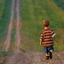 Caminante hay camino